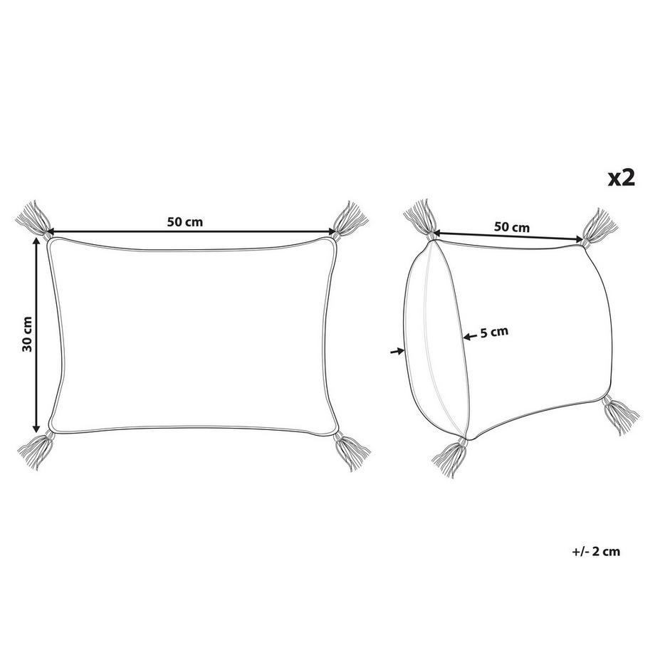 Beliani Lot de 2 coussins décoratifs en Coton  VALVARIA  