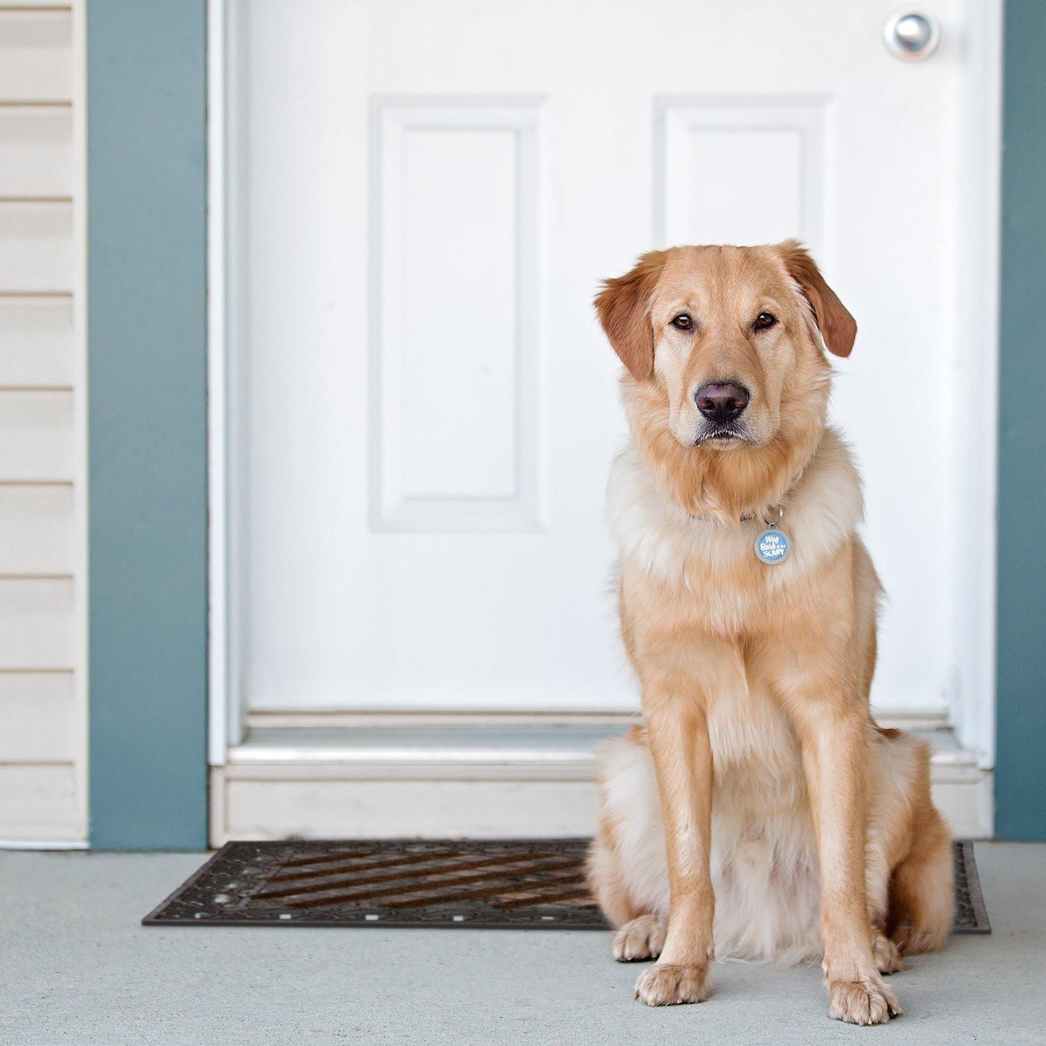 B2X Zerbino in ghisa  