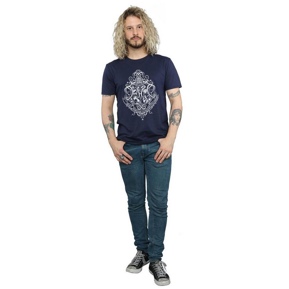 Harry Potter Hogwarts Draco Dormiens T-Shirt  