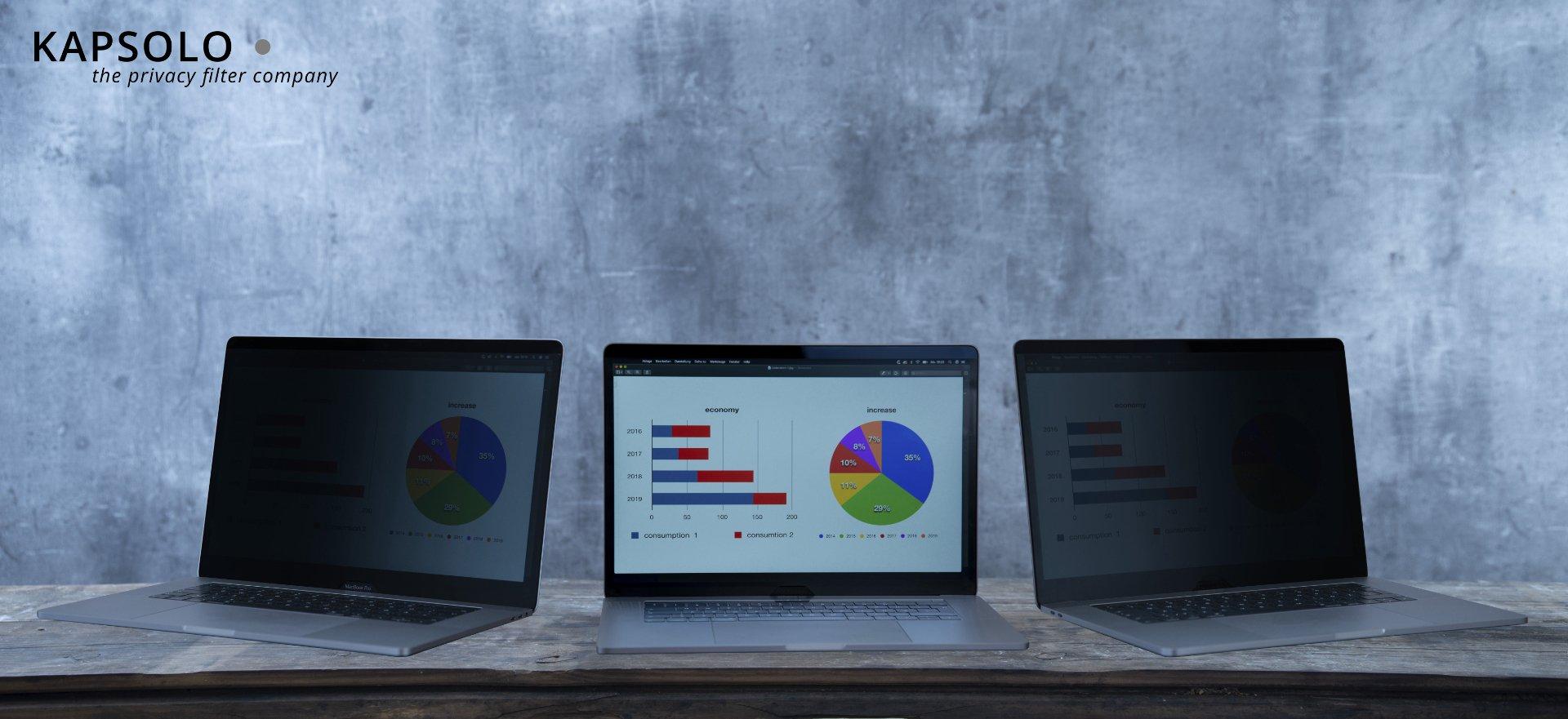 KAPSOLO  Écran de confidentialité insérable à 2 angles pour Lenovo ThinkPad X1 Carbon Touch (4th Gen) 