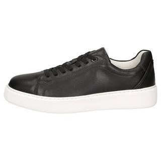 Sioux  Sneaker Tils sneaker 003 