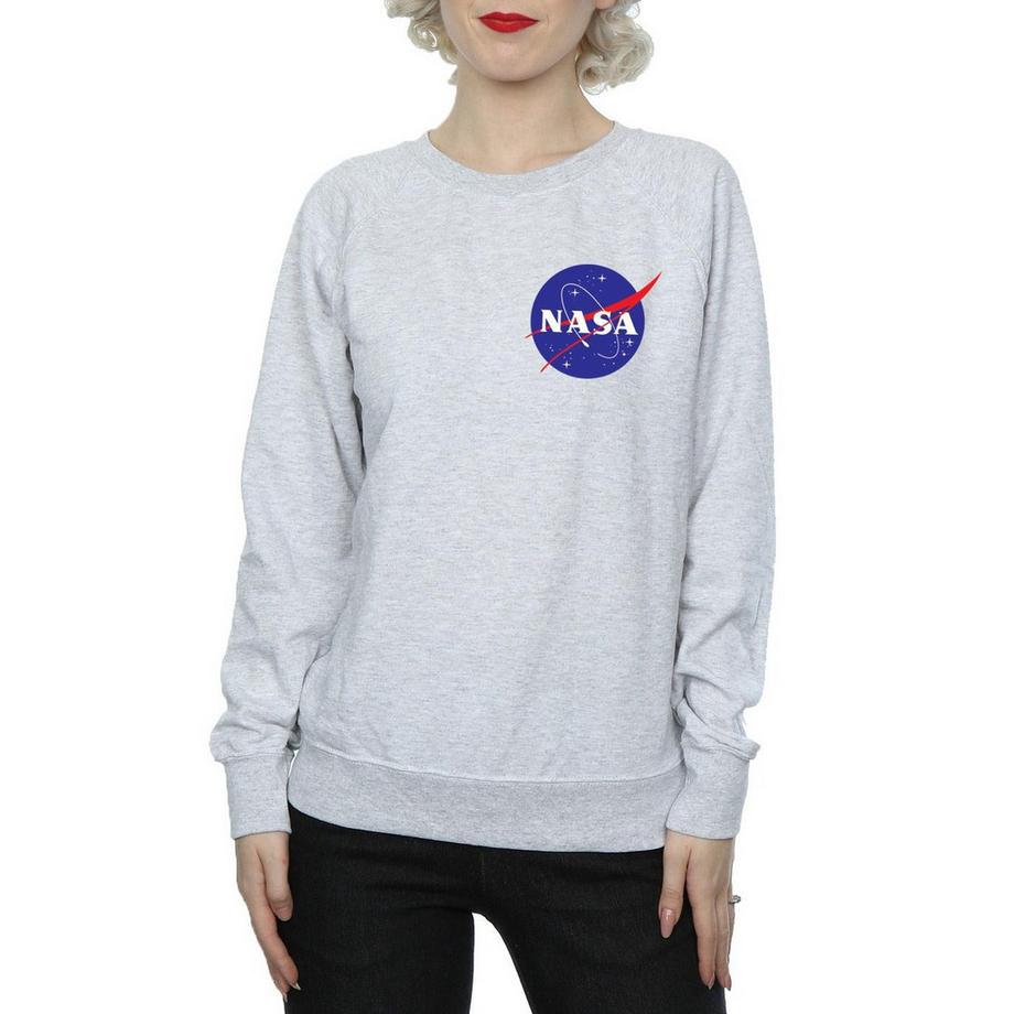 Nasa Logo Rundhals Sweatshirt  