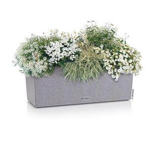 Lechuza vaso Plastica  