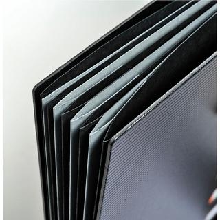 Exacompta EXACOMPTA EXACTIVE Harmonika A4 55334E schwarz  