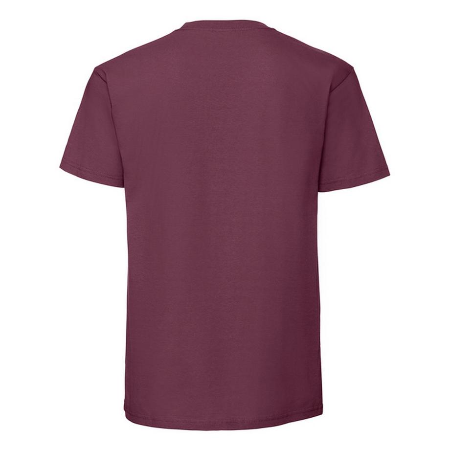 Fruit of the Loom Iconic Premium T-Shirt  