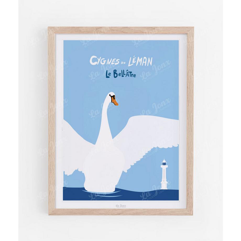 Cygnes du Léman - Le Bellâtre - Poster