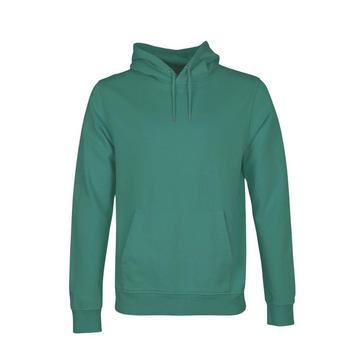 Sweatshirt à capuche  Classic Organic Pine Green