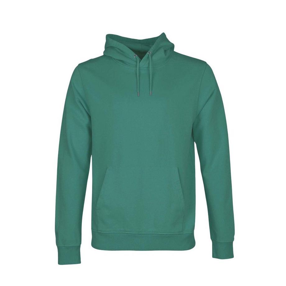 Colorful Standard Sweatshirt à capuche Classic Organic Pine Green  
