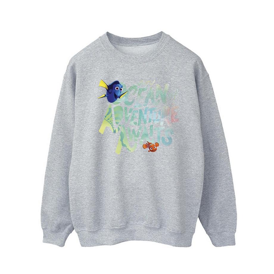 Sweat FINDING DORY OCEAN OF ADVENTURE