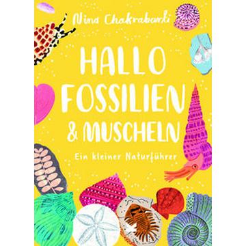 Hallo Fossilien & Muscheln