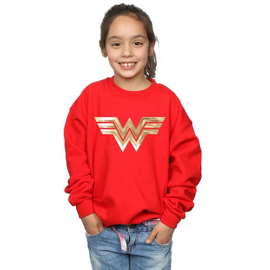 DC COMICS  Sweat 