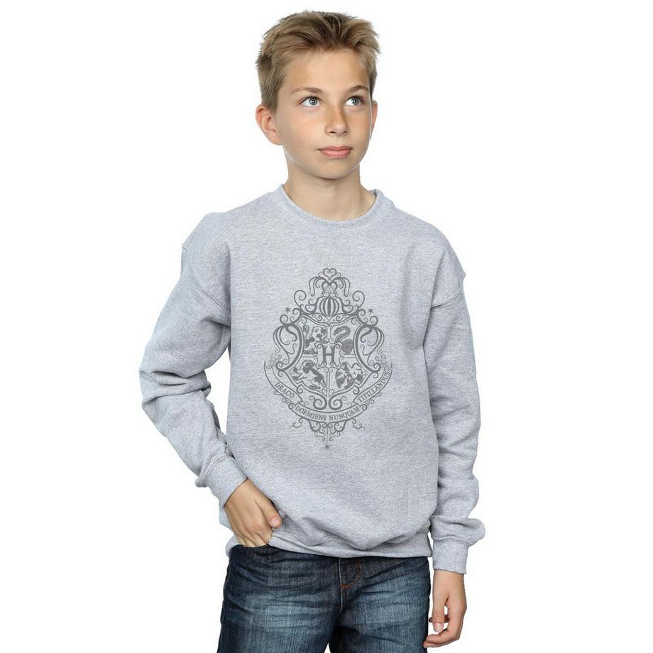HARRY-POTTER  Hogwarts Draco Dormiens Sweatshirt 