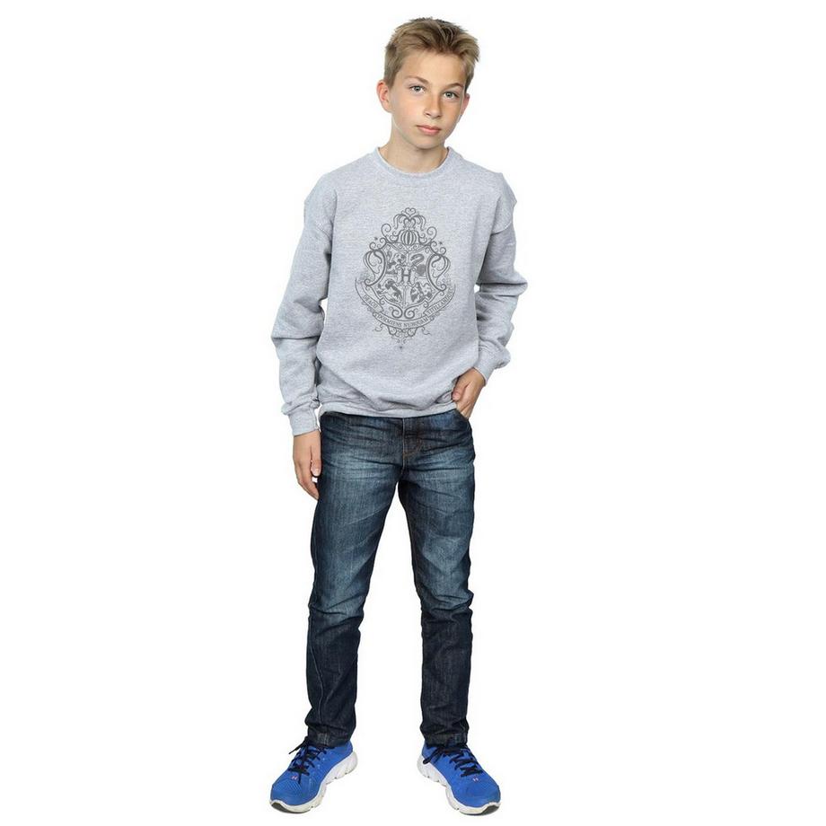 HARRY-POTTER  Hogwarts Draco Dormiens Sweatshirt 