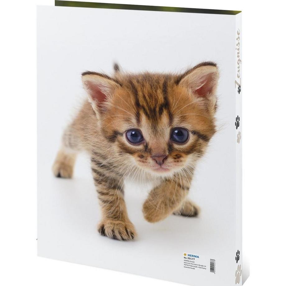 HERMA Zeugnismappe Katze  