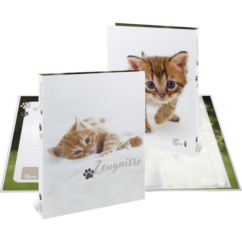 dossier de certificats Chat