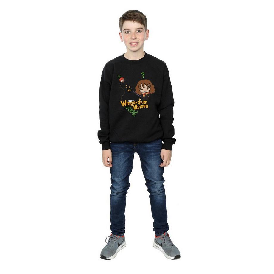 Harry Potter  Wingardium Leviosa Sweatshirt 