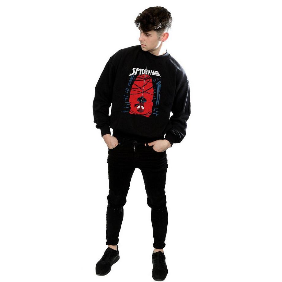MARVEL Spider-Man Sweatshirt Imprimé Graphique  