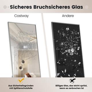 B2X Miroir sur toute la longueur 160 x 40 cm Miroir sur pied et miroir mural 2 en 1 en verre incassable argenté  