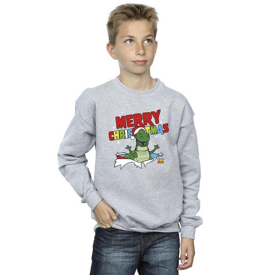 Disney  Toy Story Sweatshirt 