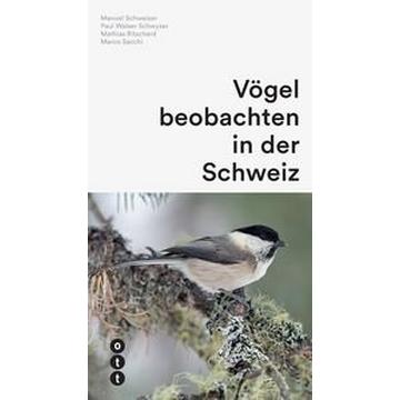 Vögel beobachten in der Schweiz