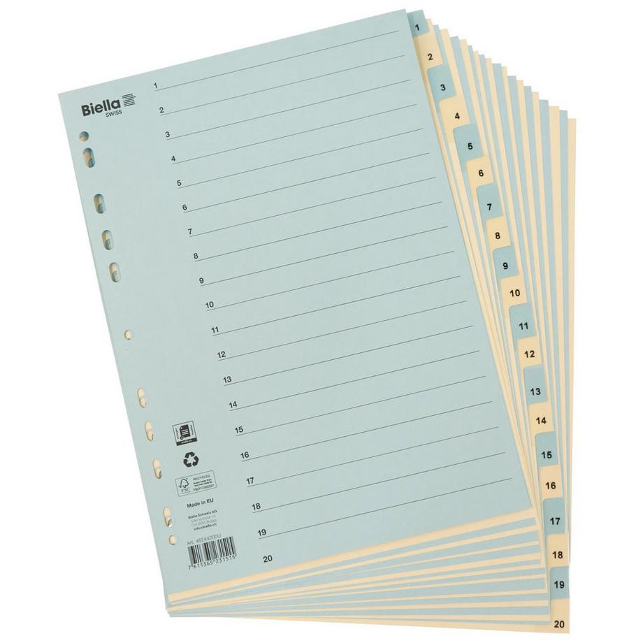 Biella BIELLA Register Karton farbig A4 462442.00 1-20  