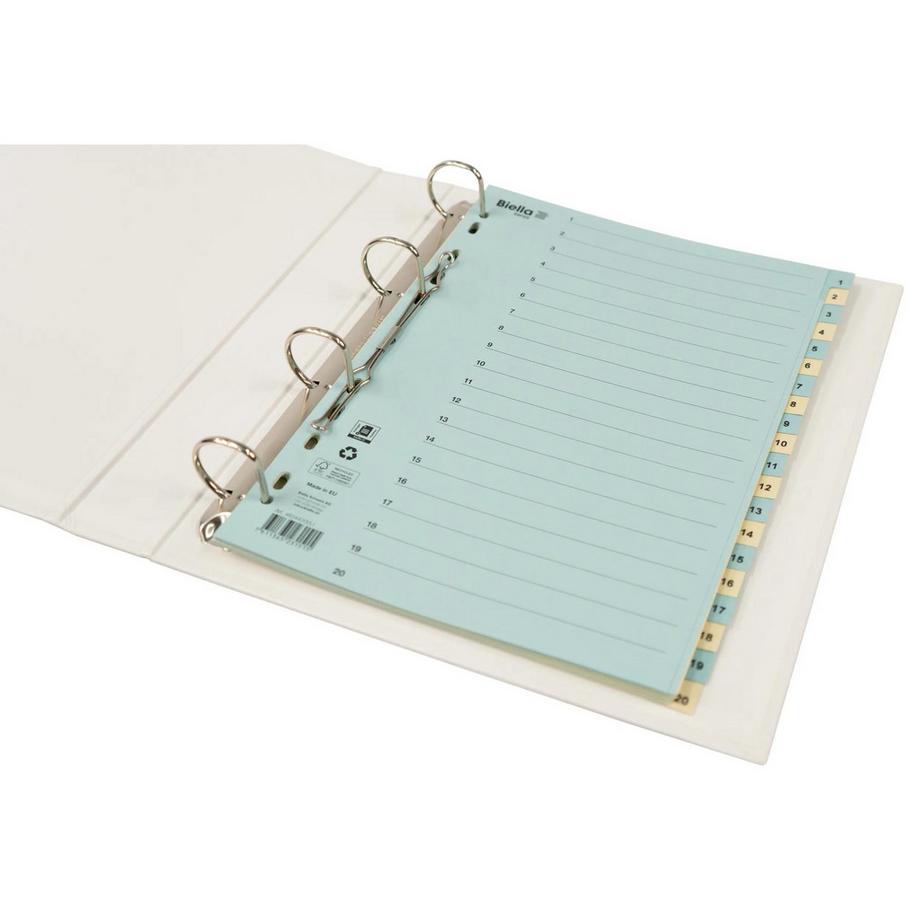 Biella BIELLA Register Karton farbig A4 462442.00 1-20  