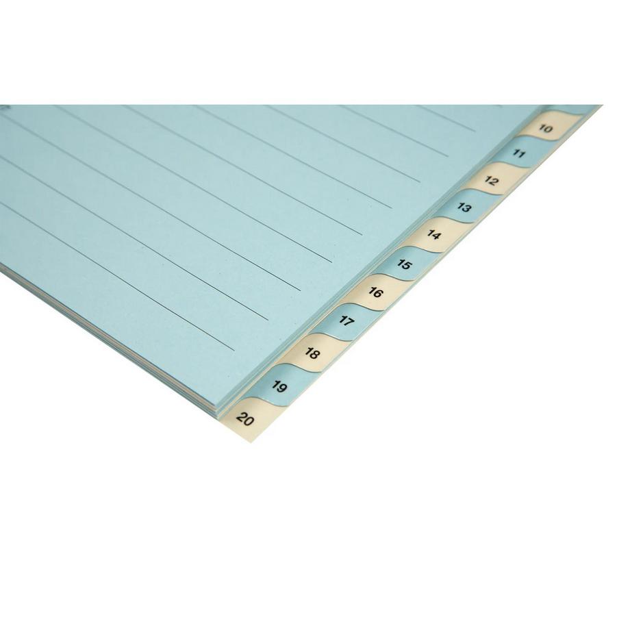 Biella BIELLA Register Karton farbig A4 462442.00 1-20  