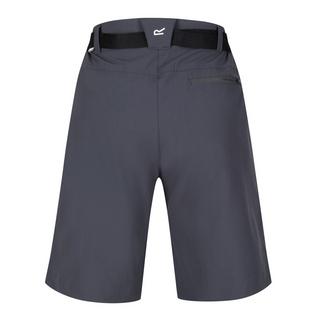 Regatta Xert III Shorts  