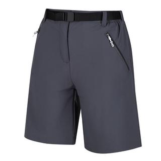 Regatta Xert III Shorts  