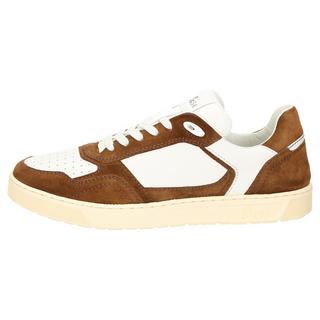 Sioux  Sneaker Tedroso-704 