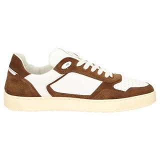 Sioux  Sneaker Tedroso-704 