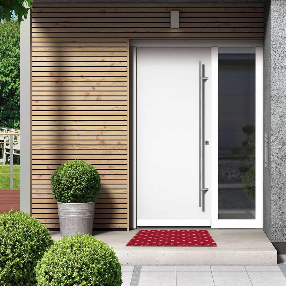 B2X Zerbino con puntini di cocco  