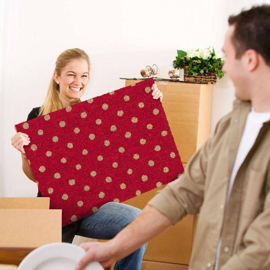 B2X Zerbino con puntini di cocco  