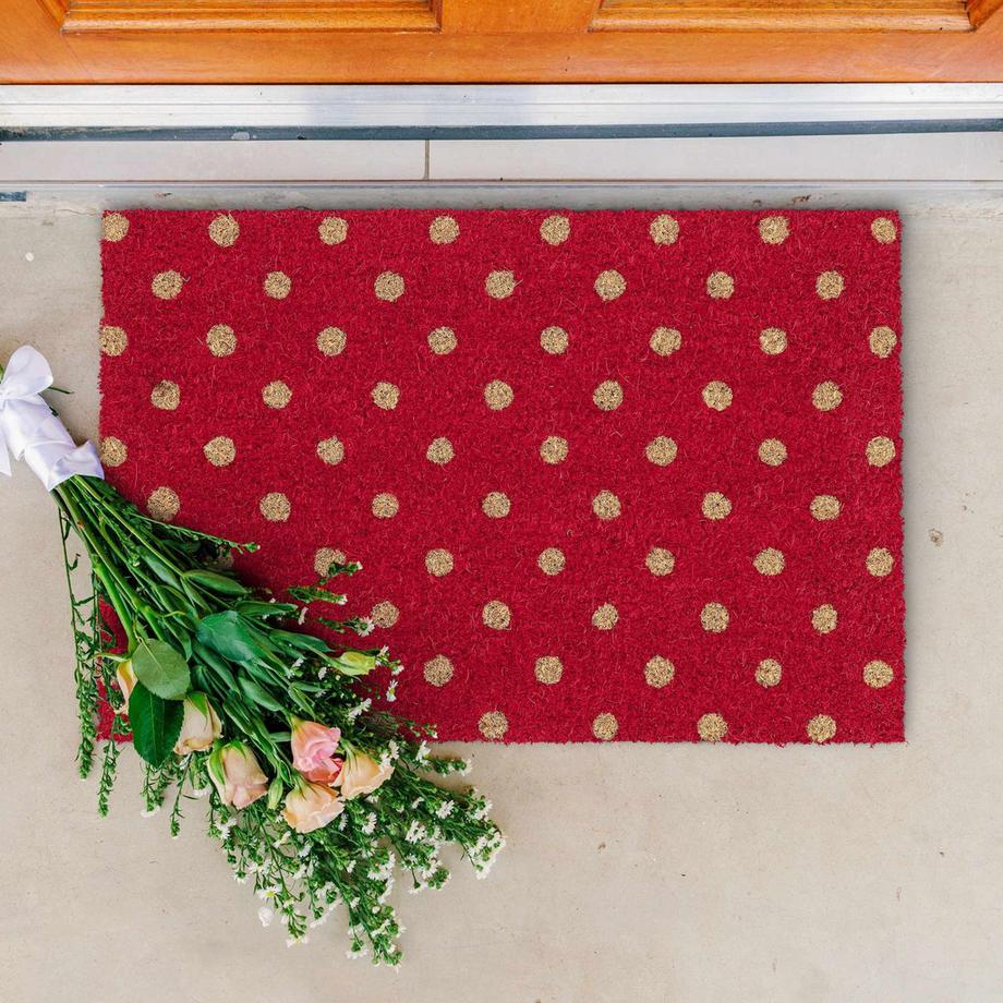 B2X Zerbino con puntini di cocco  