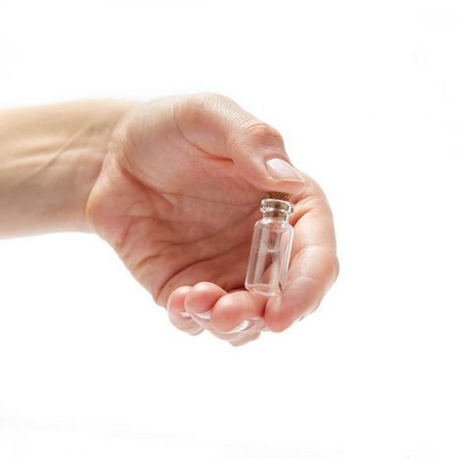 Stadtgärtner  Kleiner Wunscherfüller Pusteblume im Glas 