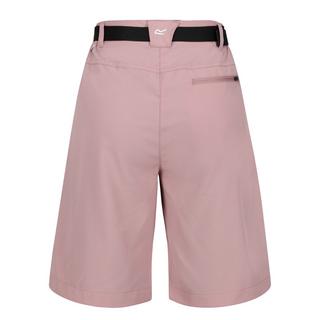 Regatta  Xert Shorts 