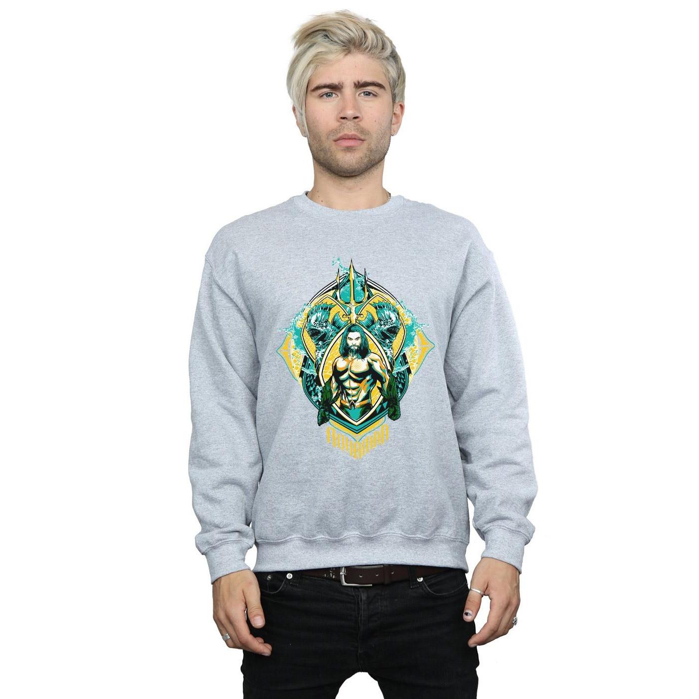 DC COMICS  Sweatshirt 