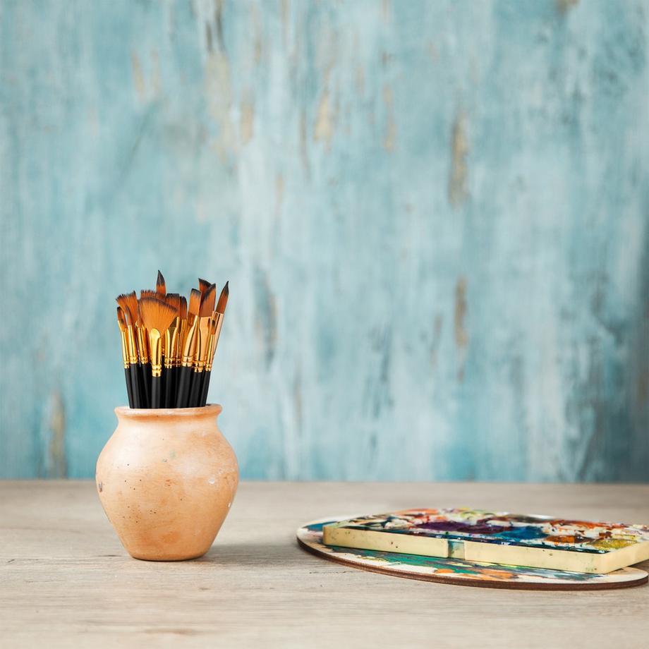 B2X set di pennelli da 25 pezzi  