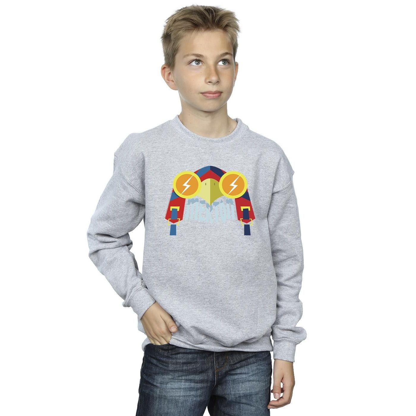 DC COMICS  DC League Of SuperPets Sweatshirt 