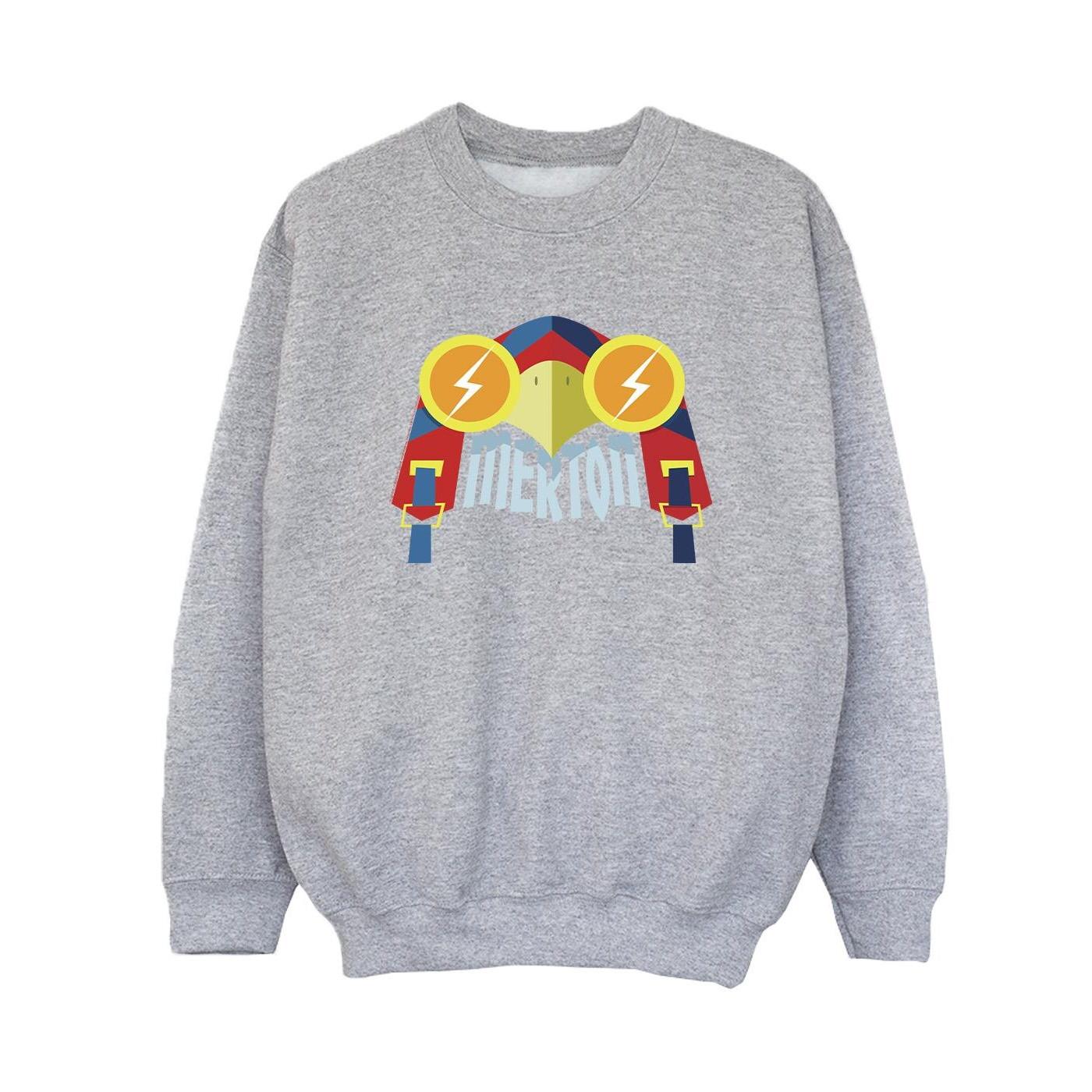 DC COMICS  DC League Of SuperPets Sweatshirt 