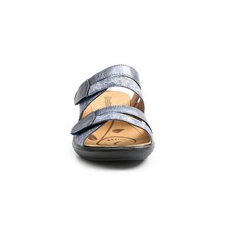 Westland  Ibiza 81-36 