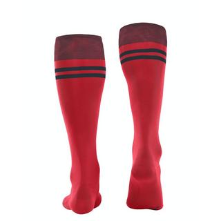 FALKE  chaussettes mi-bas sk7 race 