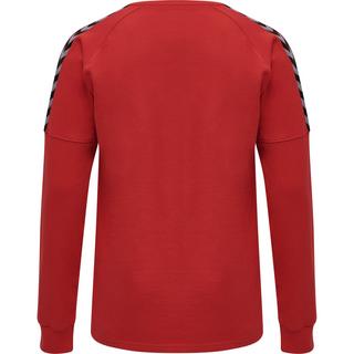 Hummel  pullover hmlauthentic training 