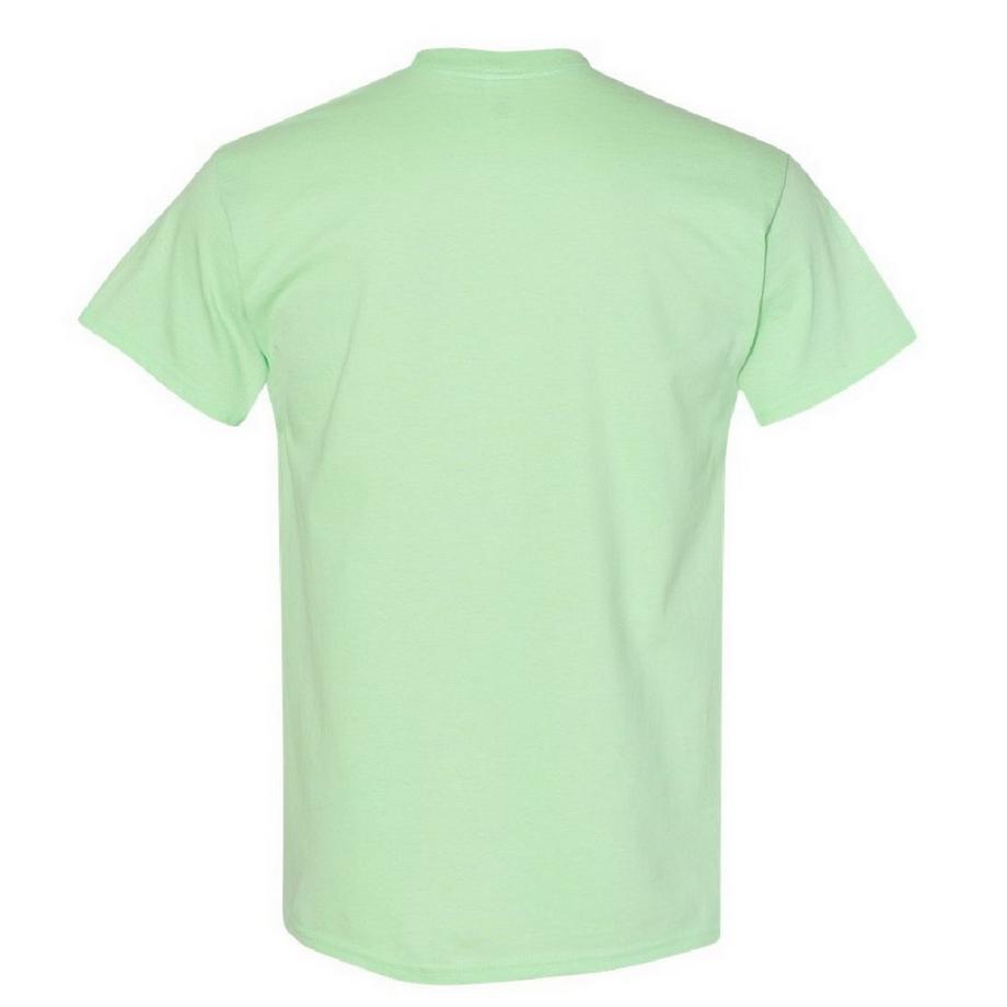 Gildan T-Shirt 5er Pack  