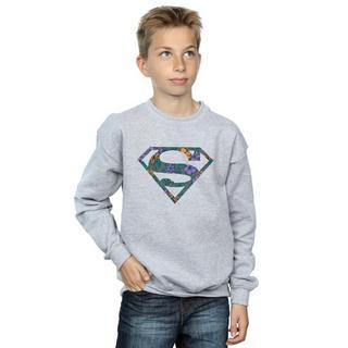 DC COMICS  Sweat 