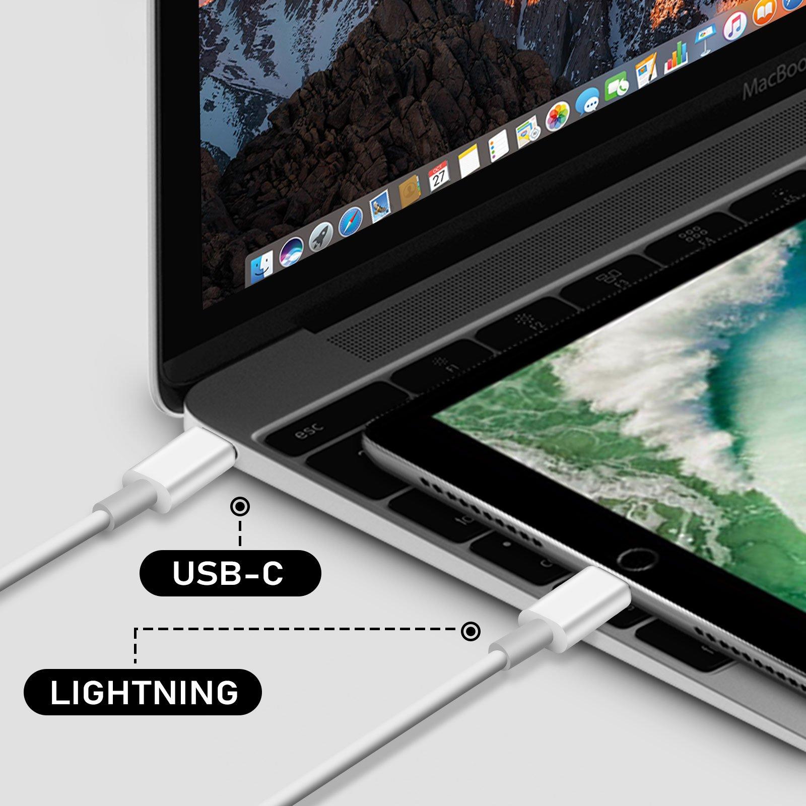Apple  Câble USB C vers Lightning Apple 