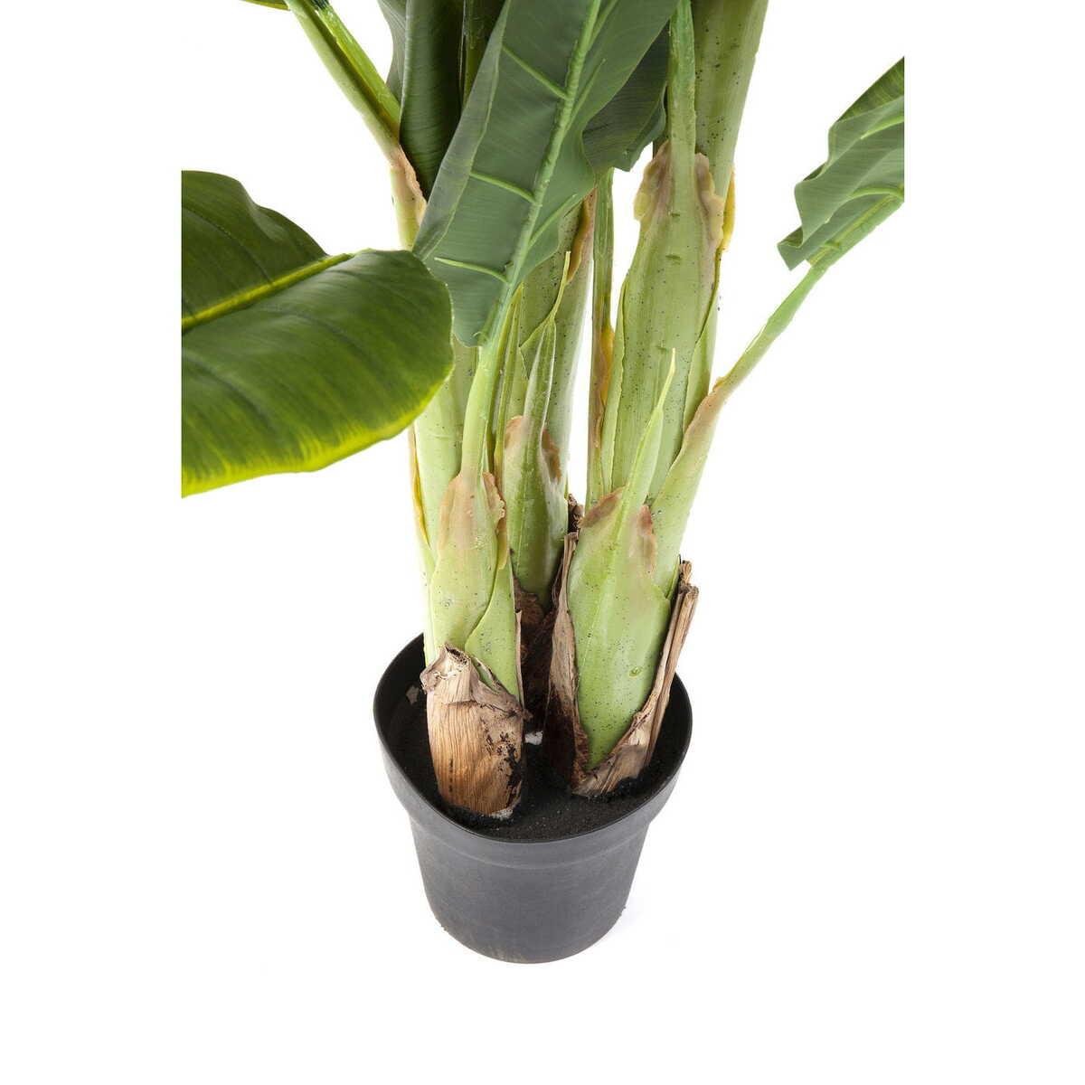 KARE Design Plante décorative Banana Tree 180cm  