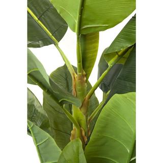 KARE Design Deko Pflanze Banana Tree 180cm  