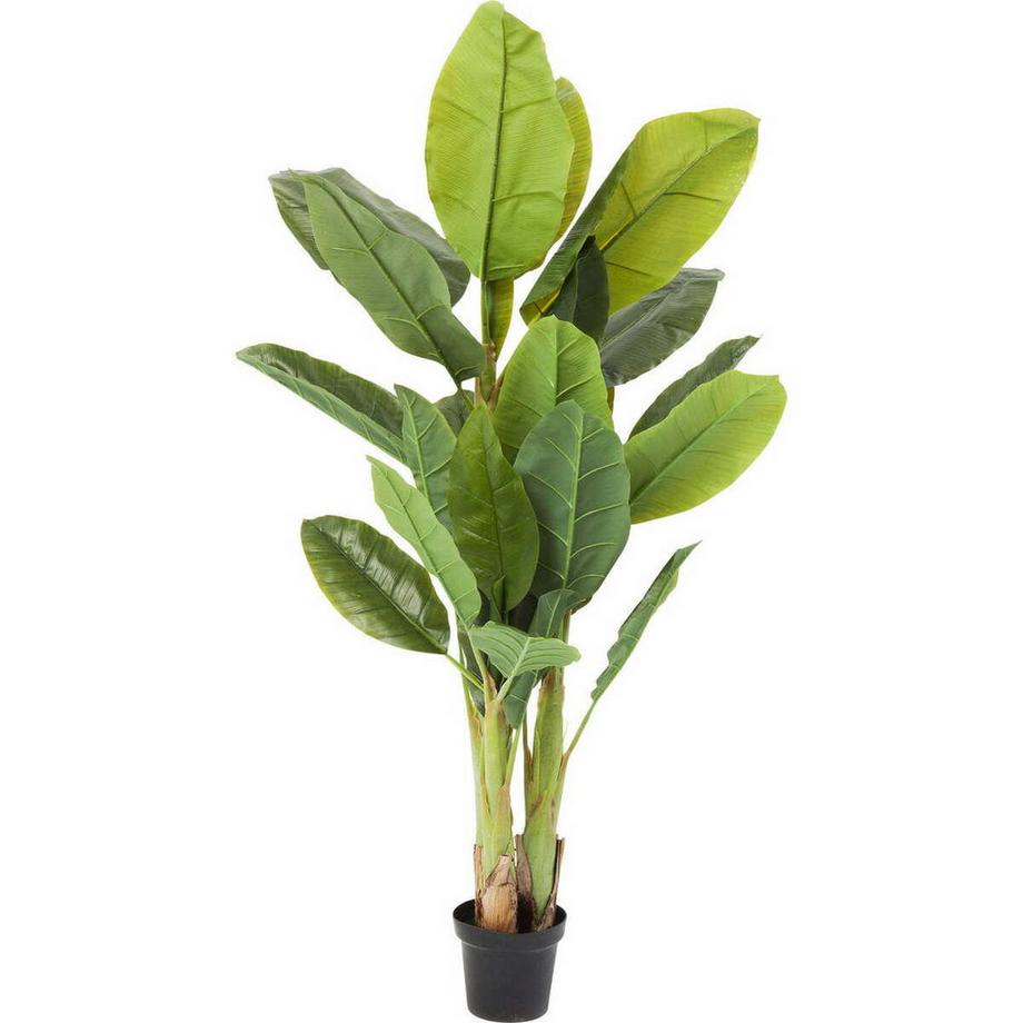 KARE Design Pianta decorativa Banana Tree 180cm  