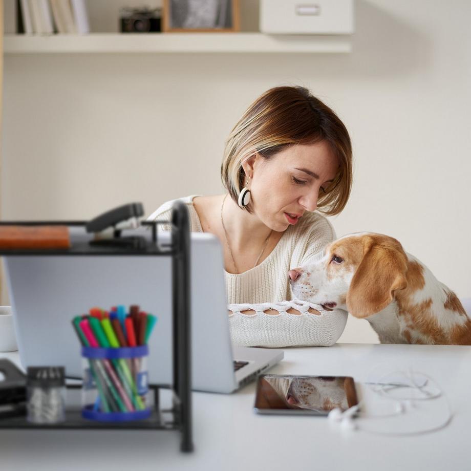 B2X  Gewürzregal aus Metall 